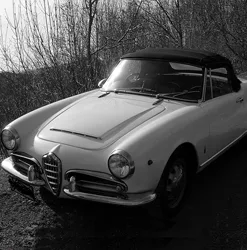 GIULIA/101