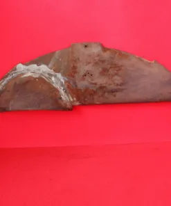 Parte superiore del quadro porta apparecchi Giulietta SS